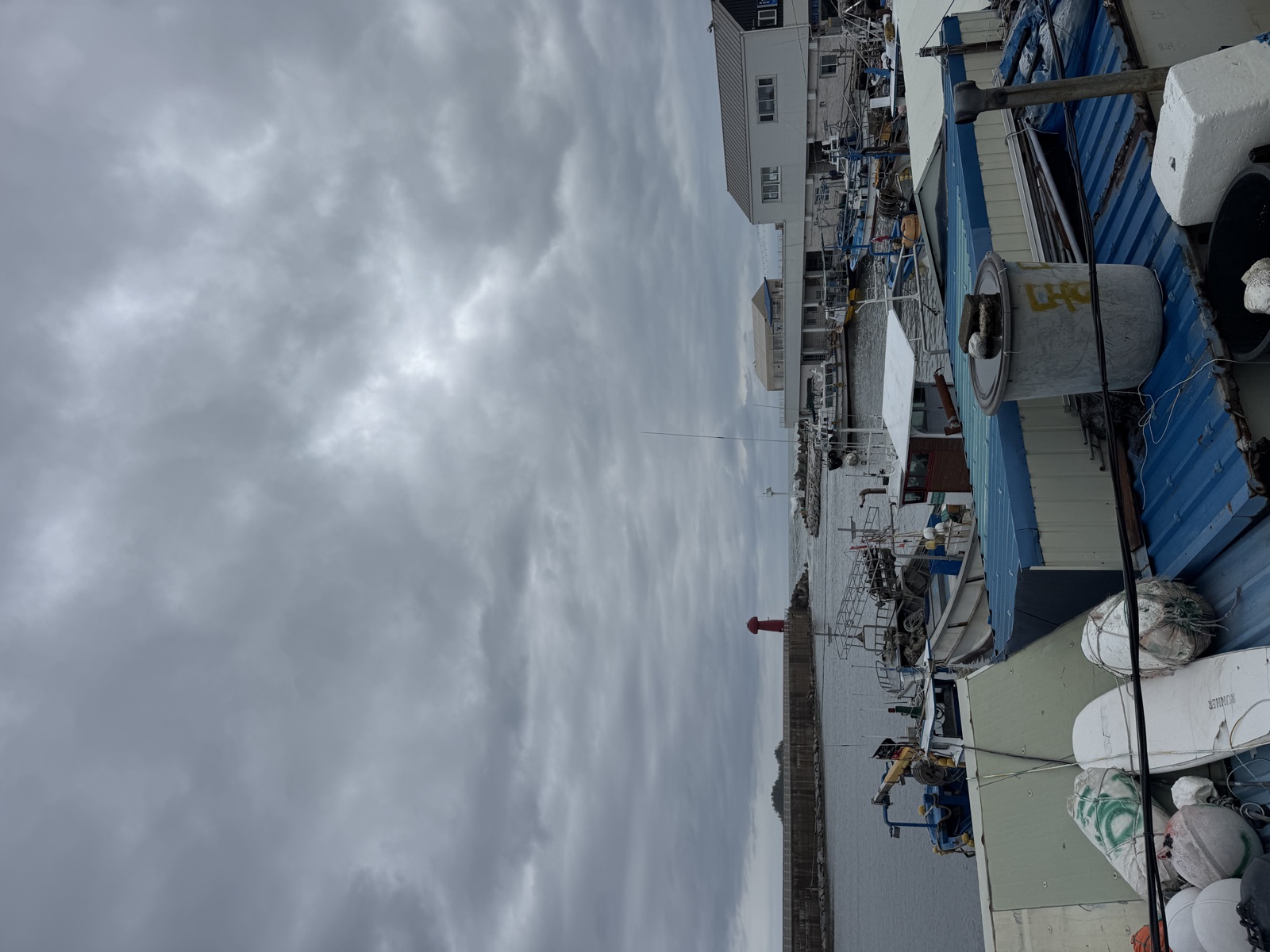 Surfing Trip review photo